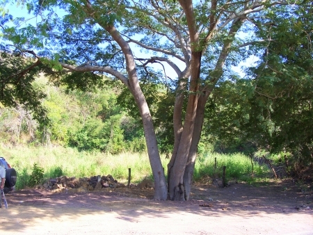 La Manzanilla Realty