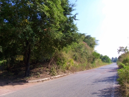 La Manzanilla Realty