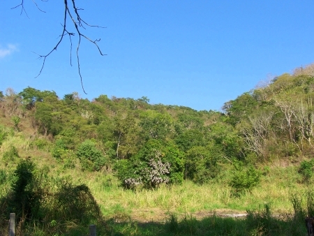 La Manzanilla Realty