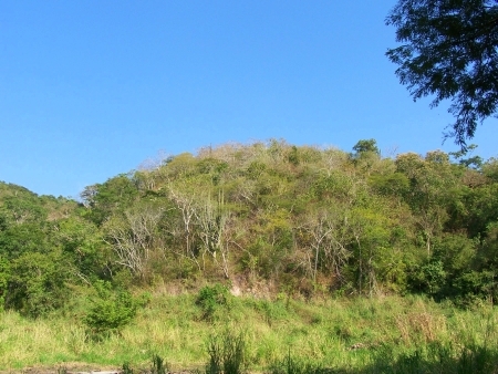 La Manzanilla Realty