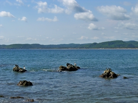 La Manzanilla Realty