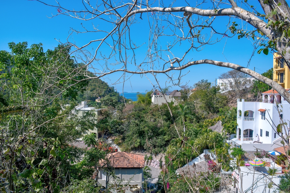 La Manzanilla Realty