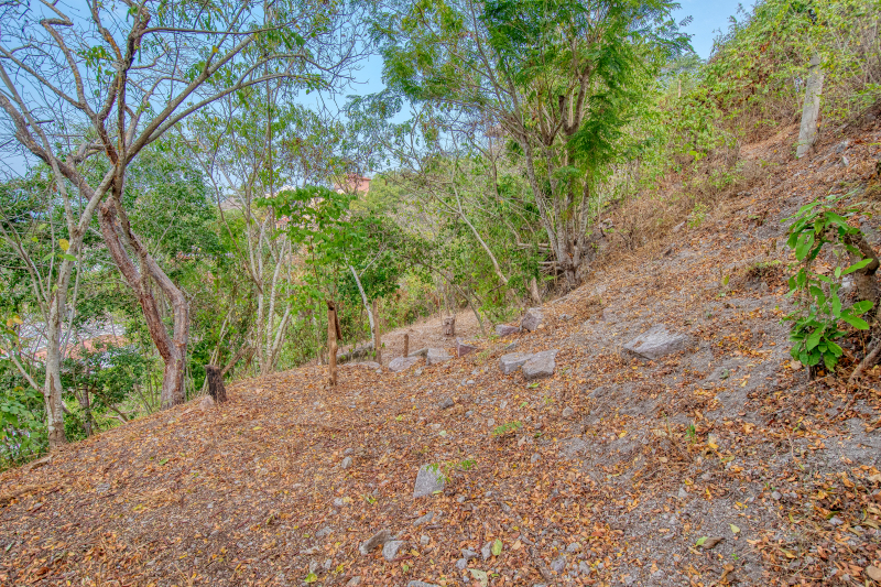 La Manzanilla Realty