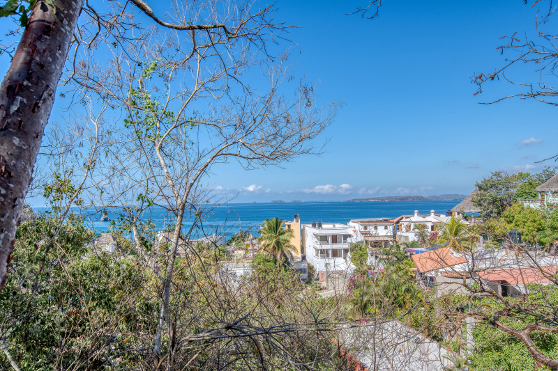 La Manzanilla Realty