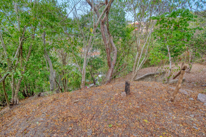 La Manzanilla Realty