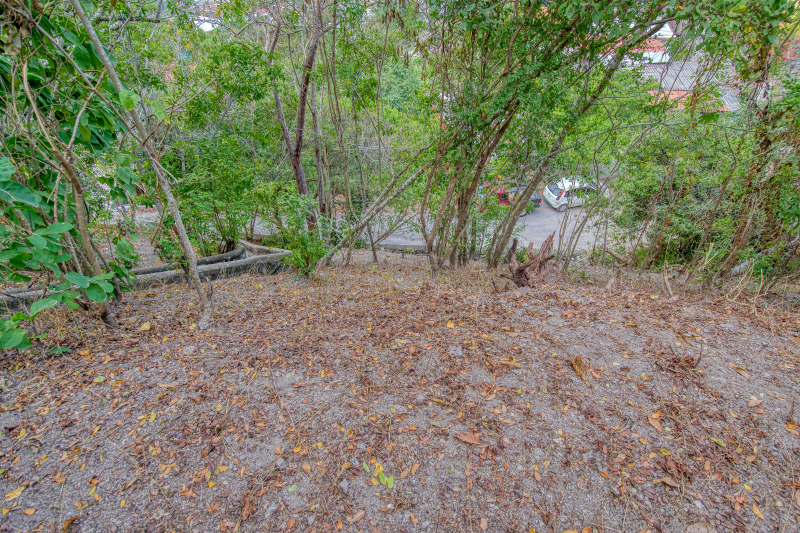 La Manzanilla Realty