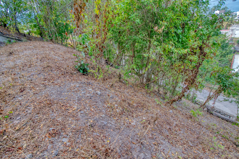 La Manzanilla Realty